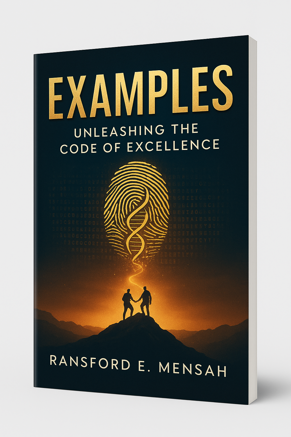 EXAMPLES - Unleashing the Hidden Code of Excellence